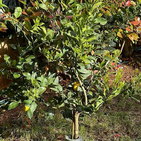 Apartamento Chill Spot Volme Banjole