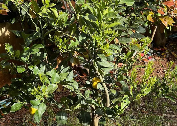 아파트 Chill Spot Volme 반졸레